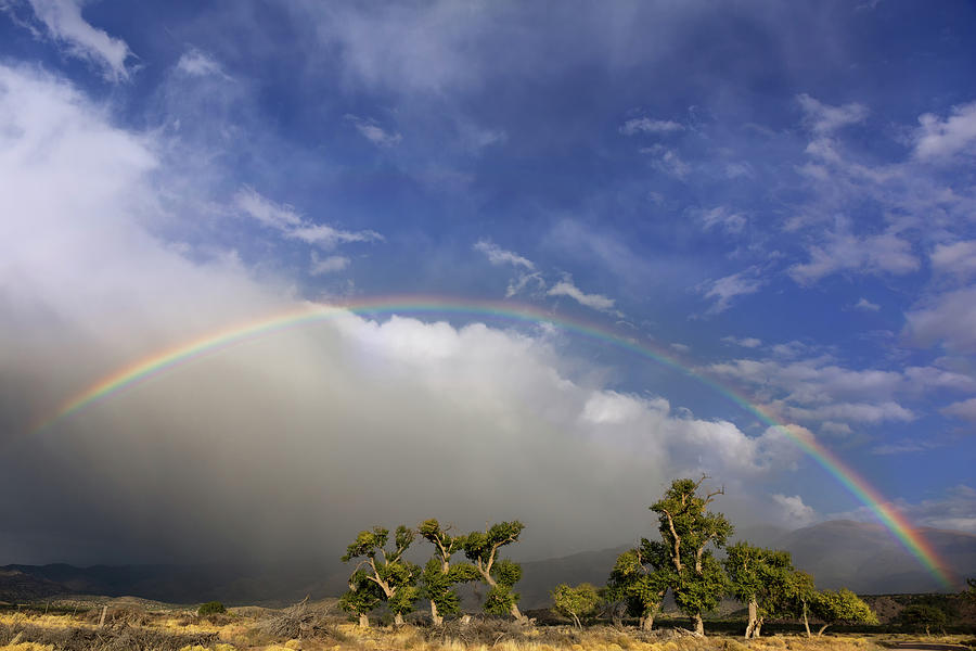 Rainbow over New Mexico Photograph by Kathleen Bishop