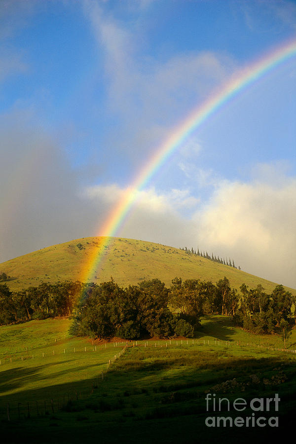 Rainbow Over Pastures Photograph by Peter French - Printscapes
