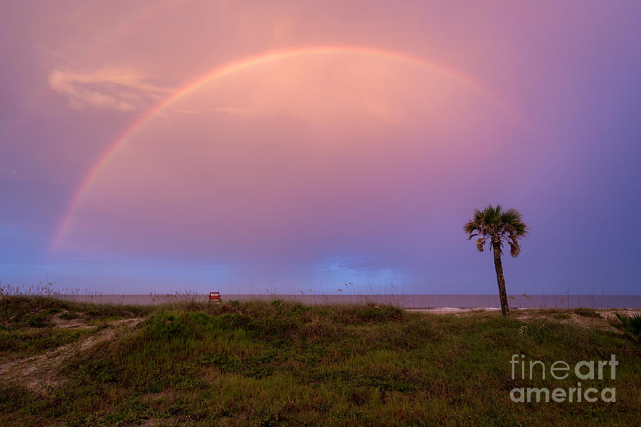 Nature Photograph - Rainbow over the Ocean Amelia Island Florida by Dawna Moore Photography