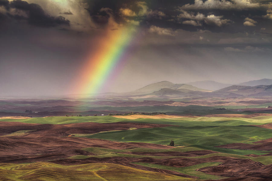 Rainbow over the Palouse Photograph by Mark Kiver