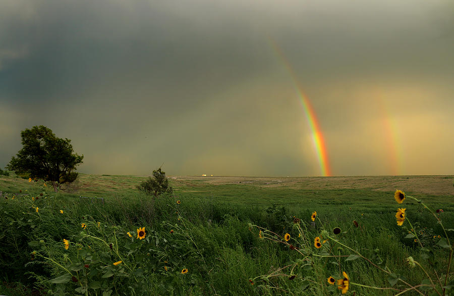 Rainbow Over The Prarie Photograph by Kami McKeon