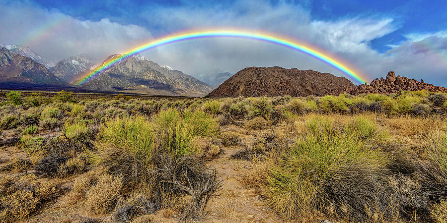Rainbow over the Sierra Photograph by Peter Tellone