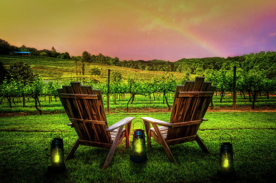 Rainbow Over the Vineyard Photograph by Debra and Dave Vanderlaan