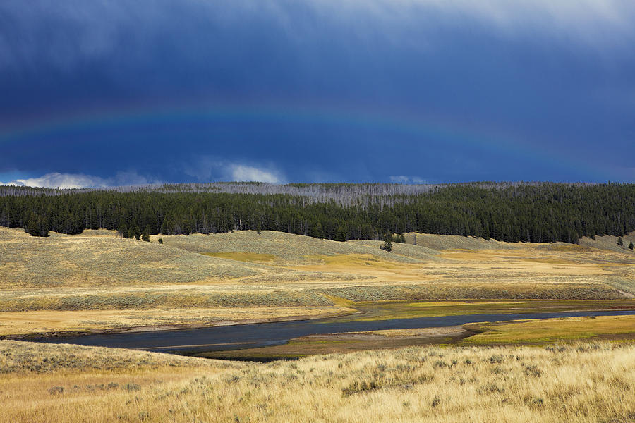 Rainbow over Yellowstone Photograph by Deborah Penland