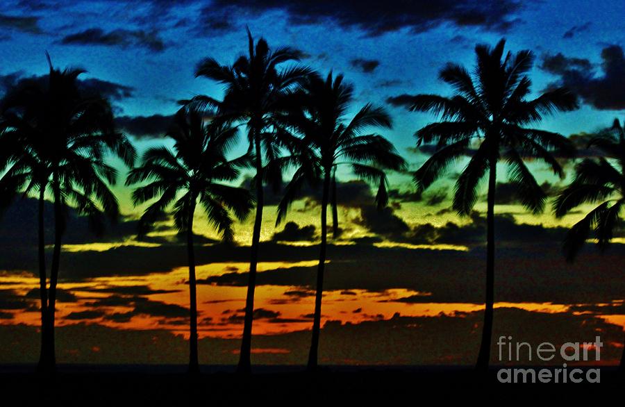 Rainbow Palms Photograph by Craig Wood