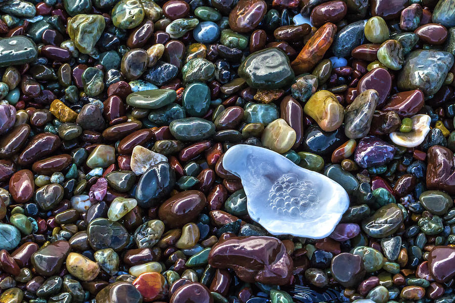 Rainbow Pebbles Photograph by Laura Roberts