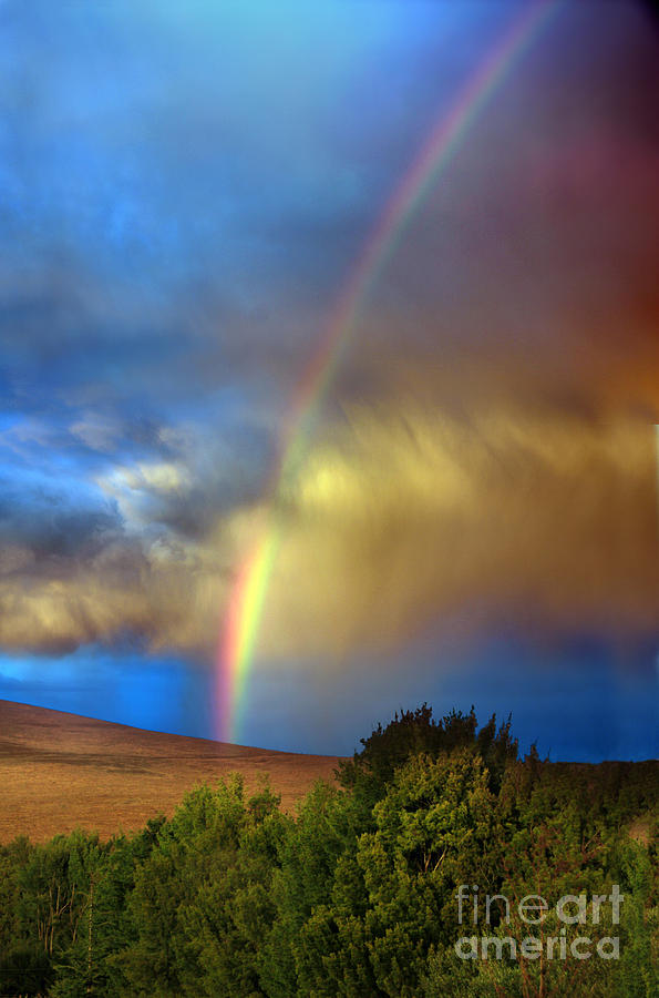 Rainbow Pierces a Glowing Cloud, Sonoma County, California Photograph by Wernher Krutein