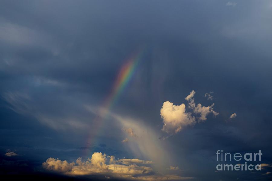 Rainbow Radiance Photograph by Janet Marie