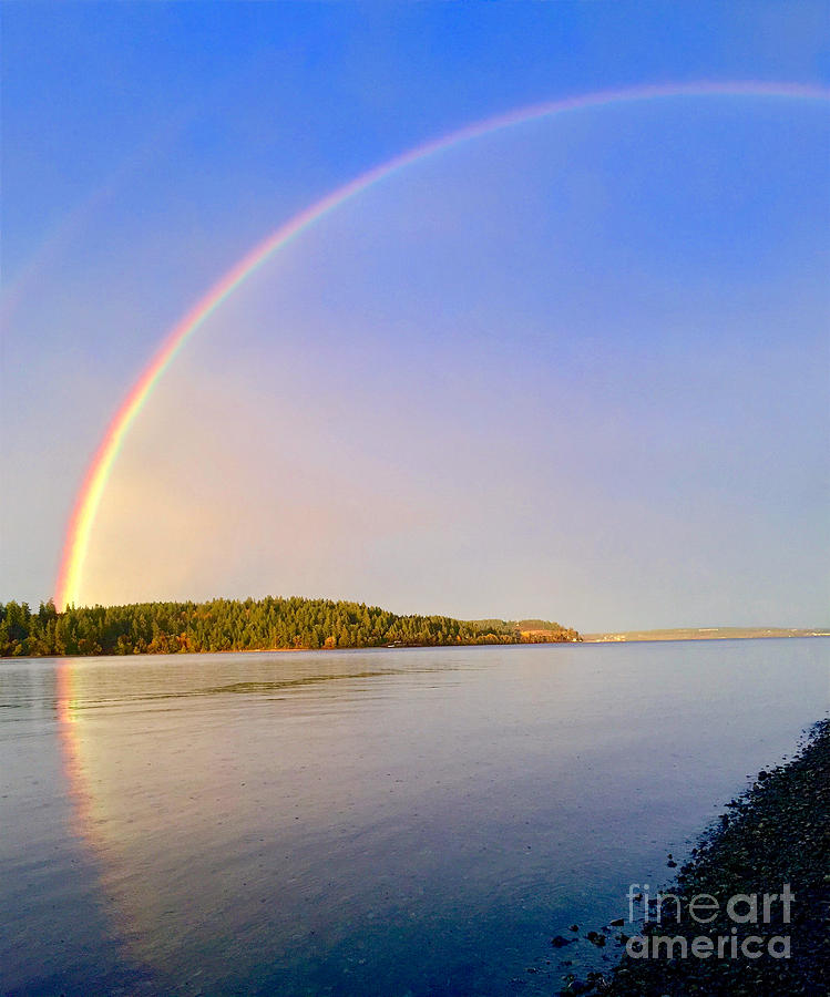 Rainbow Reflection Photograph by Sean Griffin