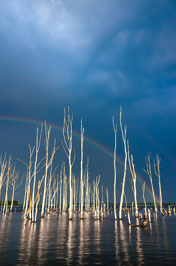 Rainbow Reservoir Photograph by Steven Maxx