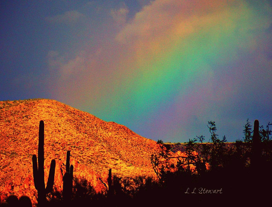 Landscape Photograph - Rainbow Ridge by L L Stewart