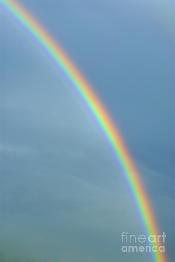 Rainbow Photograph by Sami Sarkis Photography