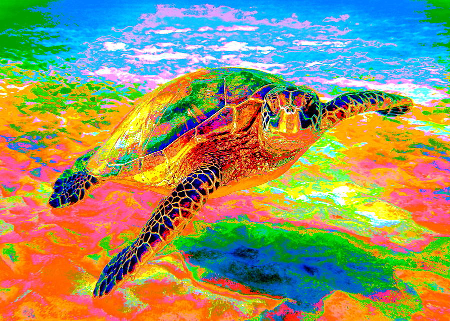 Rainbow Sea Turtle Digital Art by Larry Beat