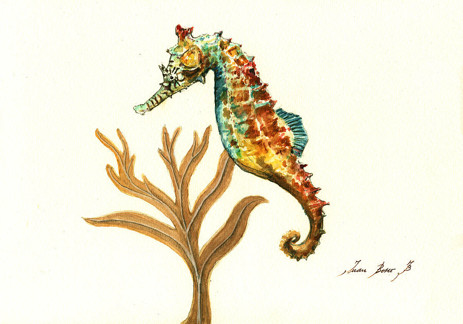 Seahorse Painting - Rainbow seahorse by Juan Bosco