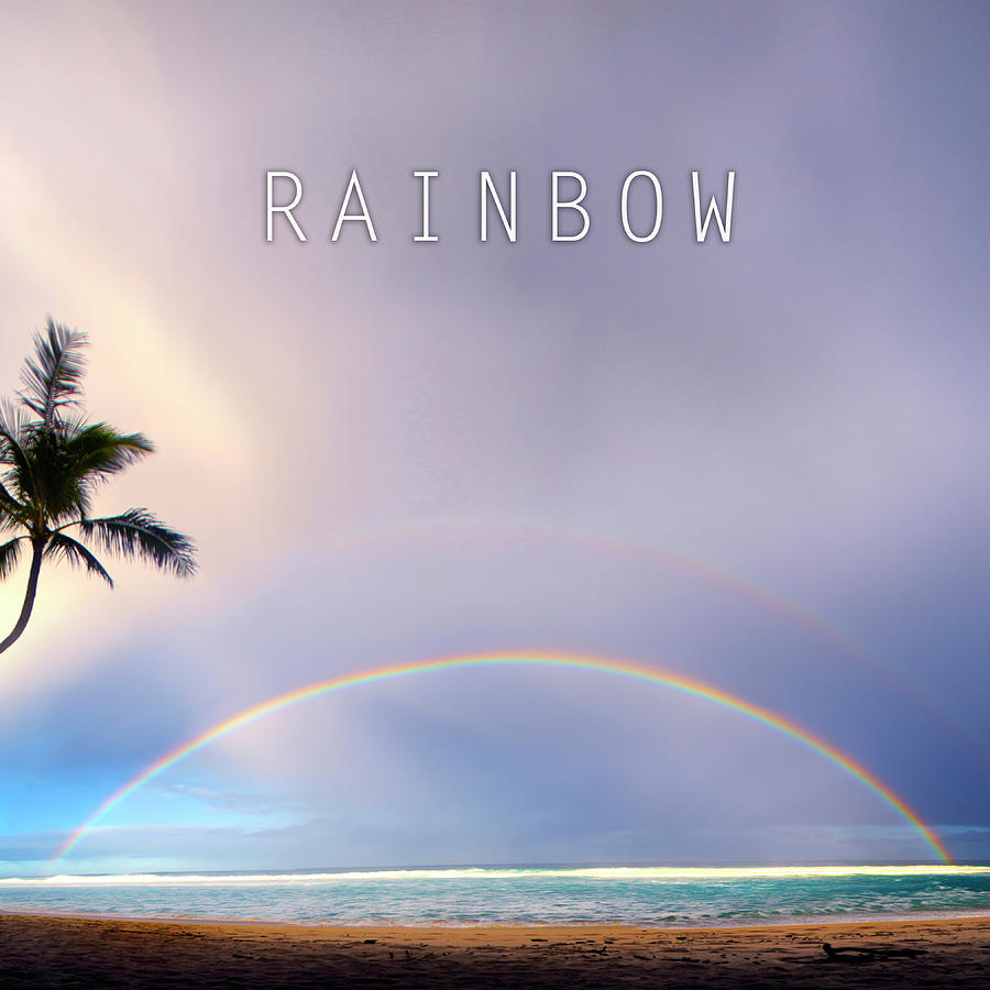 Rainbow. Photograph by Sean Davey