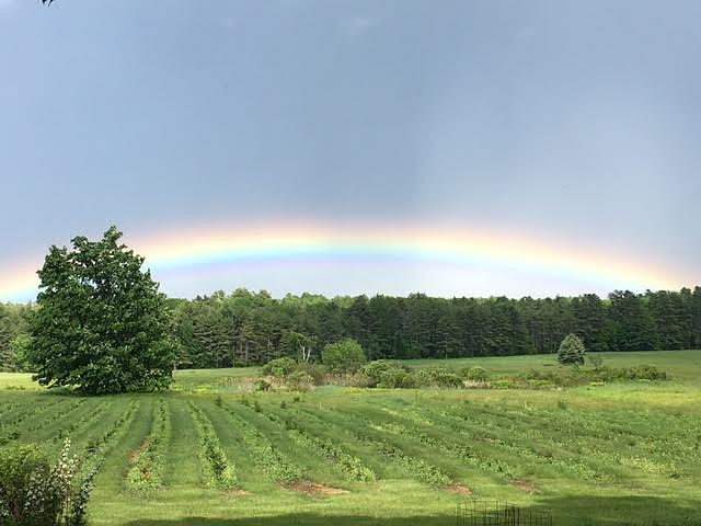 Rainbow Photograph by Shannon Pearson - Fine Art America