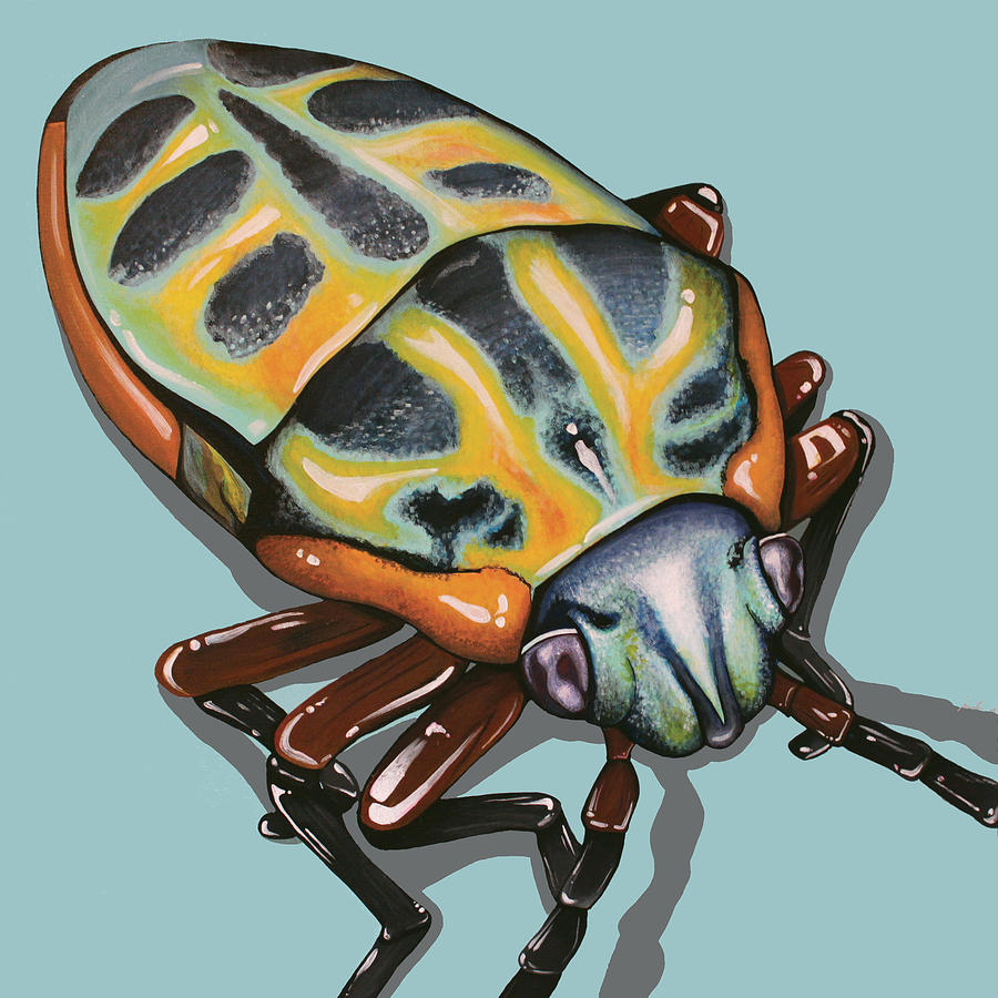 Insects Painting - Rainbow Shield Beetle by Jude Labuszewski