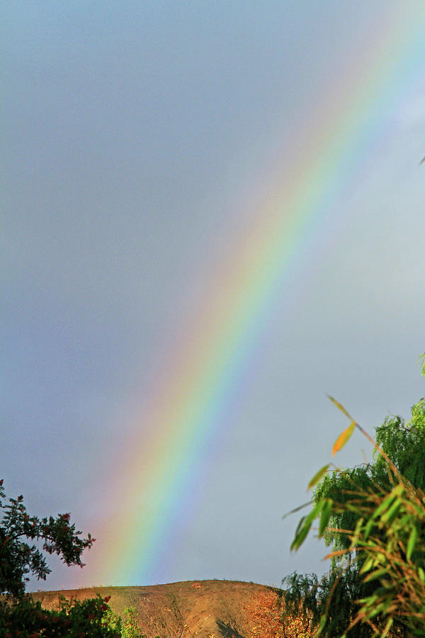 Rainbow Photograph by Shoal Hollingsworth