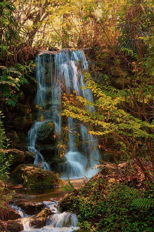 Rainbow springs waterfall Photograph by Louis Ferreira