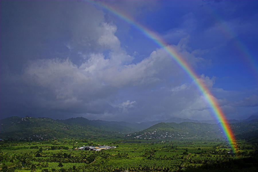 Rainbow-St Lucia Photograph by Chester Williams