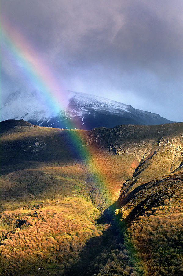 rainbow high snow