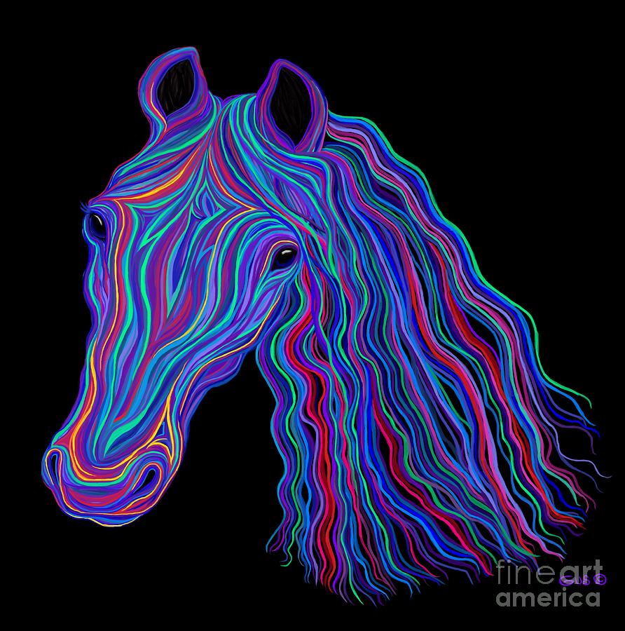 Rainbow Tribal Horse Photograph