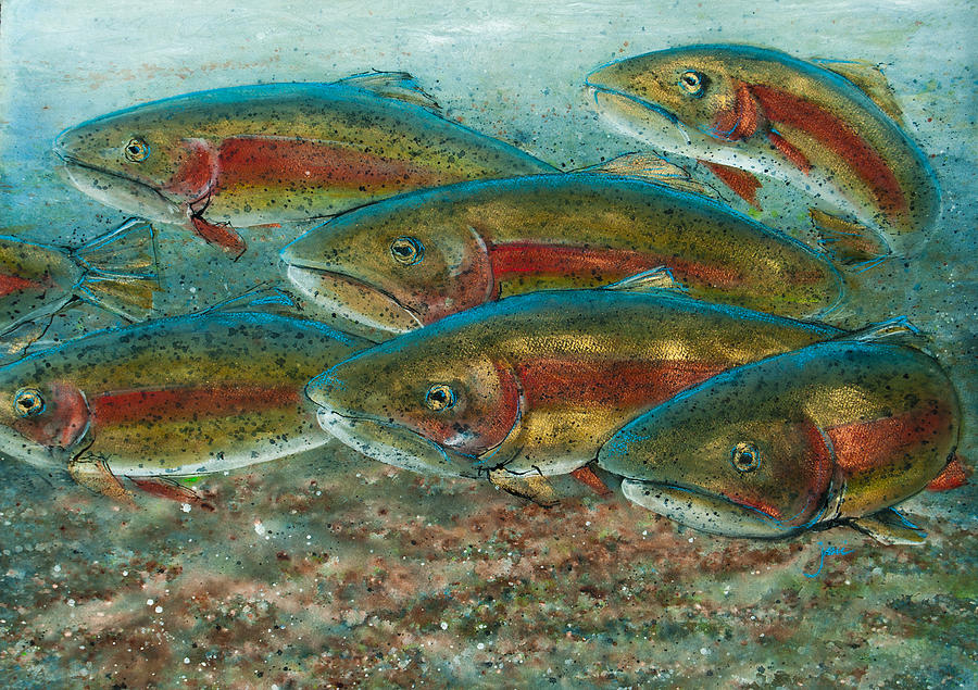 Rainbow Trout Fish Run Painting by Jani Freimann