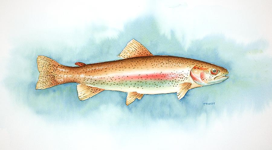 Rainbow Trout Painting by Richard Rooker