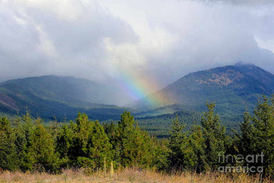 Rainbow Valley Photograph by Carol Groenen