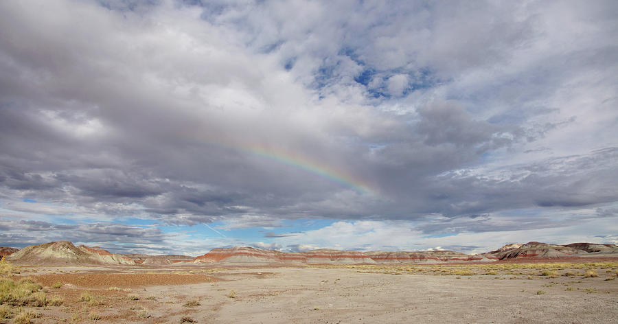 Rainbow Vista in the Painted Desert Photograph by Leda Robertson