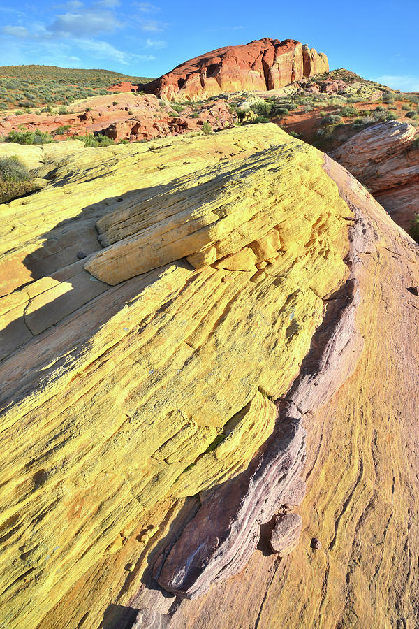 Rainbow Wave of Sandstone in Valley of Fire Photograph by Ray Mathis