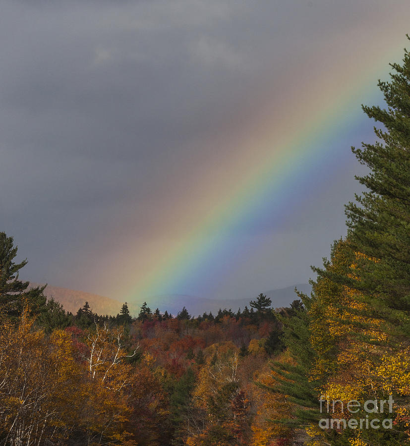 Rainbow White Mountain Photograph by Steven Natanson