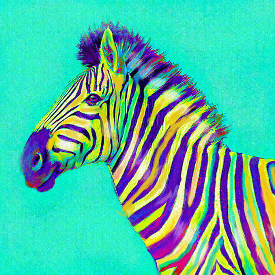 Wildlife Digital Art - Rainbow zebra 2013 by Jane Schnetlage