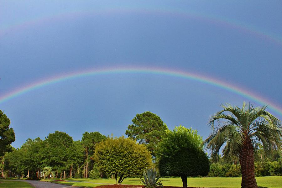 Rainbows After The Rain Photograph by Cynthia Guinn