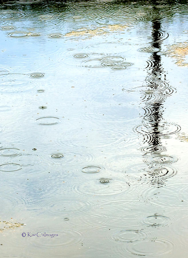 Raindrop Abstract Photograph by Kae Cheatham
