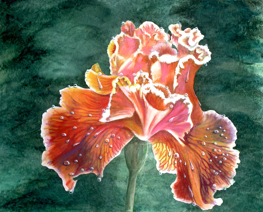 Raindrop Iris Painting by Thomas Hamm