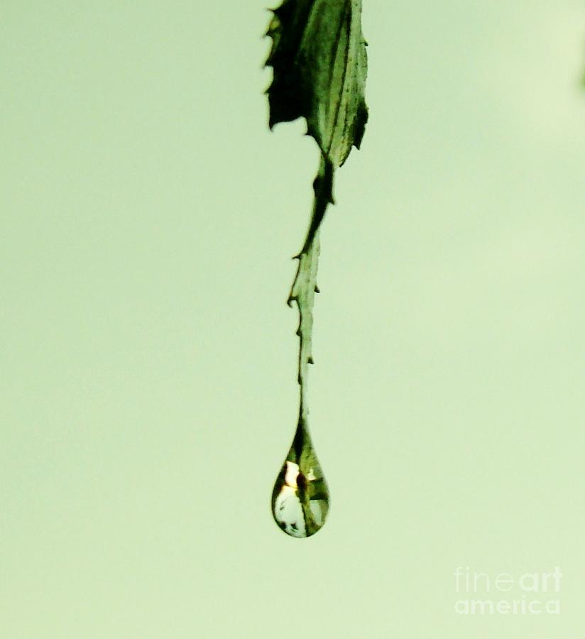 Raindrop Painting by Leea Baltes