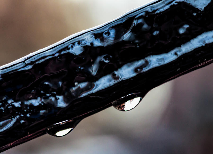 Raindrop on Wrought Iron Photograph by Robert Ullmann