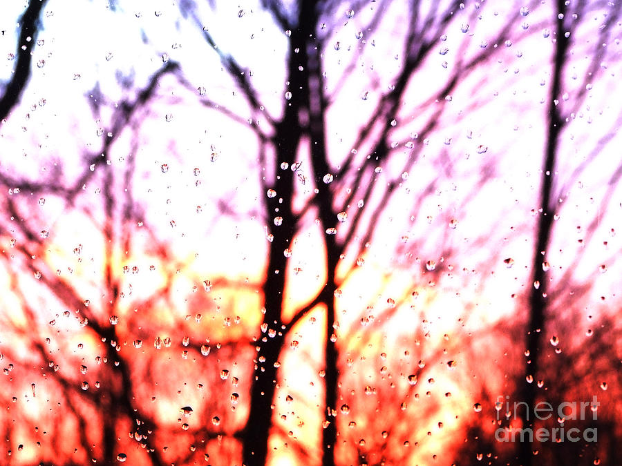 Raindrop Sunset Photograph Photograph by Kristen Fox