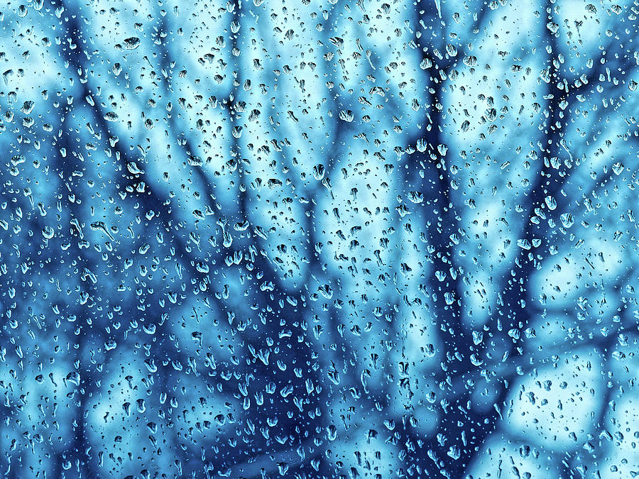 Raindrops Photograph by Tom Druin