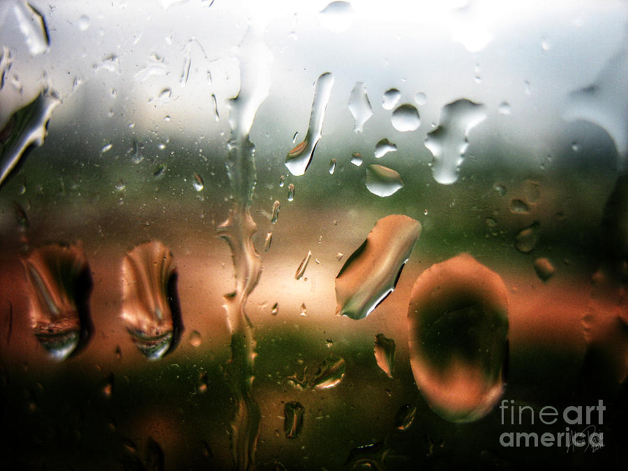 Raindrops Photograph