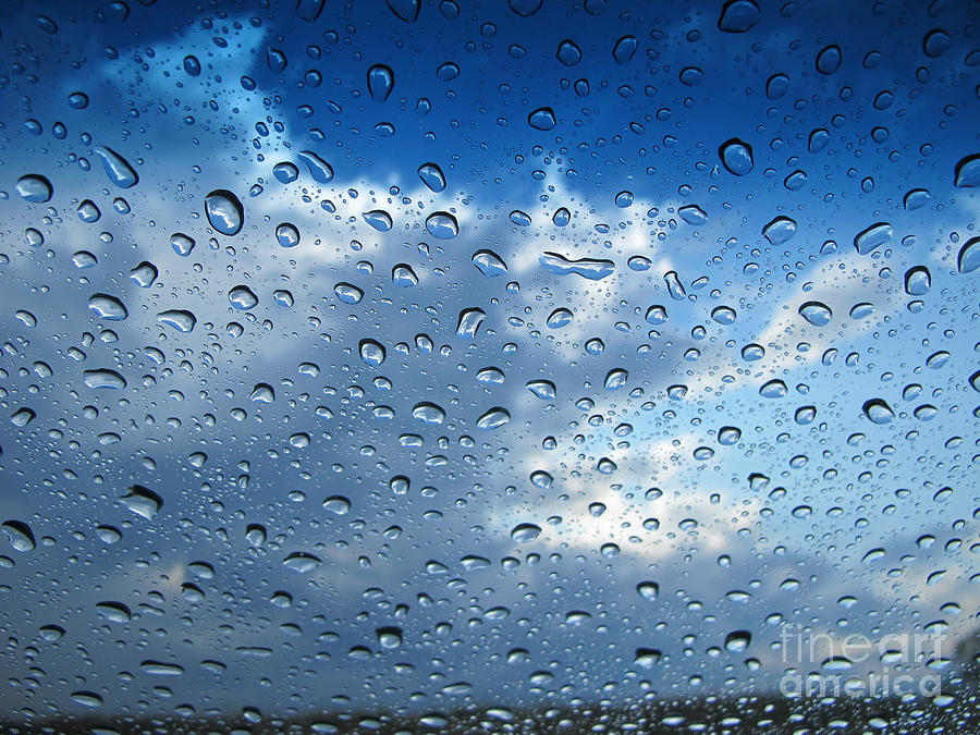 Raindrops in Blue Photograph by Ann Horn