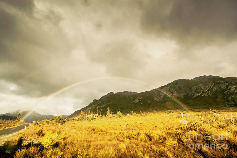 Raindrops in rainbows Photograph by Jorgo Photography