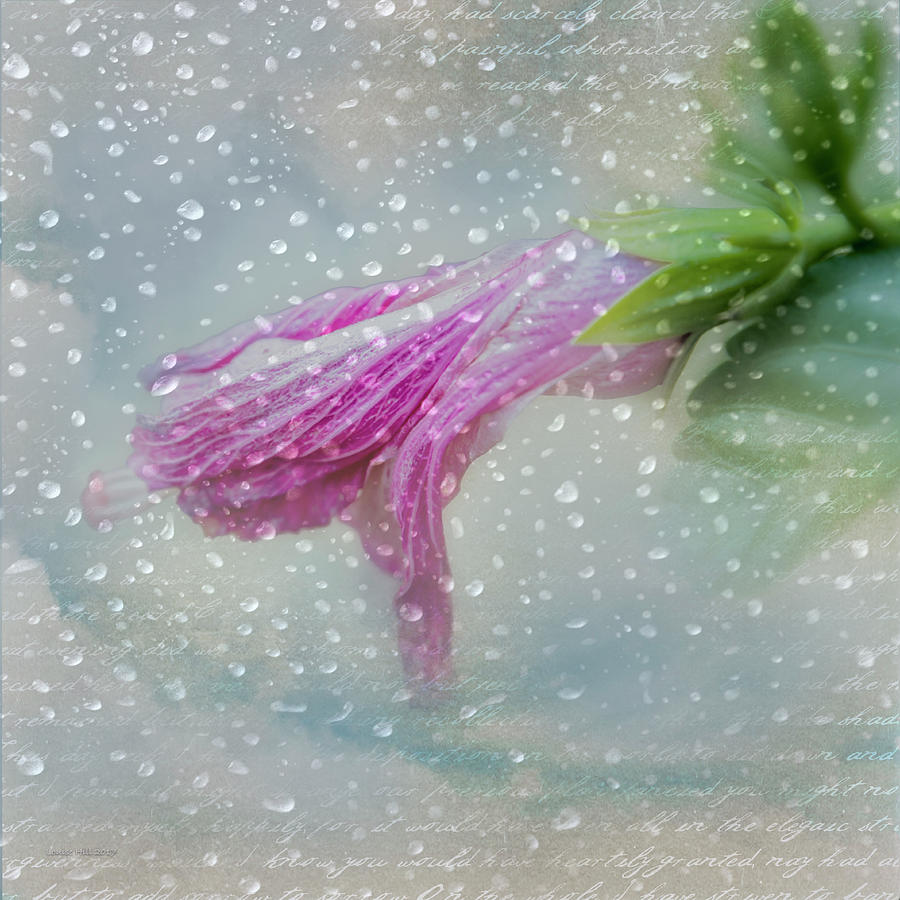 raindrops keep faling raindrops keep faling