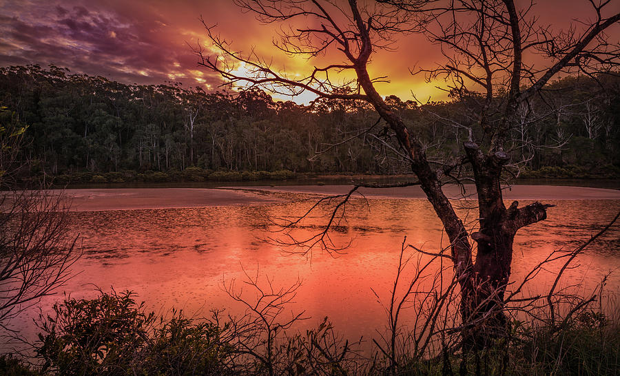 Sunset Photograph - Raindrops on Nullica by Racheal Christian