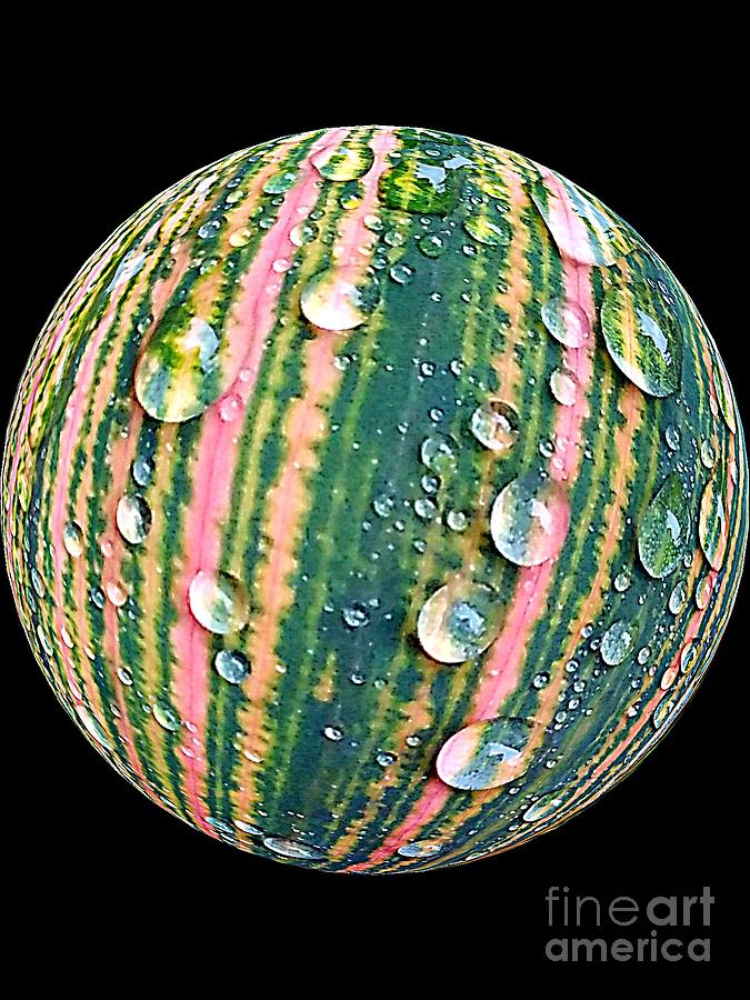Water Photograph - Raindrops Sphere by Michael Hoard