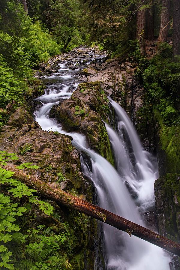 Rainforest Falls Photograph by Harriet Feagin Photography | Fine Art ...