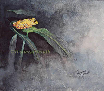 Amphibians Painting - Rainforest Jewel by Tharanga Herath
