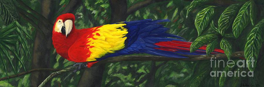 Parrot Painting - Rainforest Parrot by JoAnn Wheeler