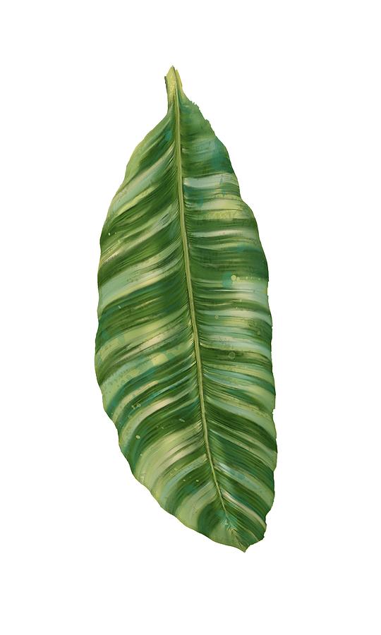Tropical Painting - Rainforest Resort - Tropical Banana Leaf  by Audrey Jeanne Roberts